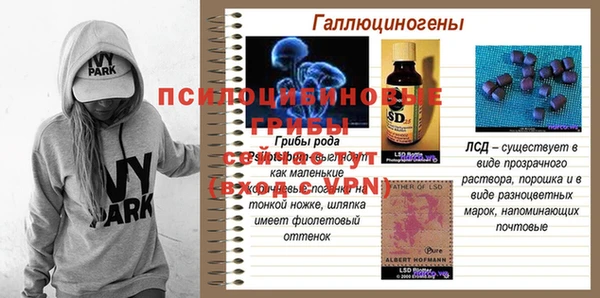 ешки Снежногорск